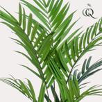Kunstplant - Kentia -Kentiapalm - 180 cm, Verzenden, Nieuw
