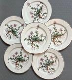 Villeroy & Boch - Schotel (6) - botanica - Porselein