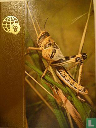 Burton, Maurice - Encyclopédie Universelle des Animaux -..., Boeken, Dieren en Huisdieren, Gelezen, Verzenden