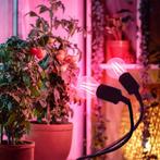 Kobi Planty Clip W Duo - tafellamp met 2x E27 - zwart - F..., Huis en Inrichting, Ophalen of Verzenden, Nieuw