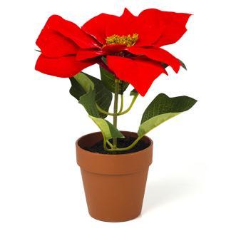 Kunstplant Kerstster | Everlands | 20 cm (In pot, Ø 18 cm), Diversen, Kerst, Nieuw, Verzenden