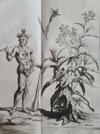 Noel Chomel en Jacques Alexandre de Chalmot - Algemeen, Antiek en Kunst