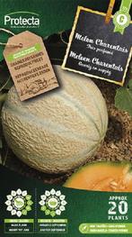 Protecta Groente zaden: Meloen Canteloup Charentais, Tuin en Terras, Bloembollen en Zaden, Ophalen of Verzenden