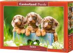 Cute Dachshunds Puzzel (500 stukjes) | Castorland - Puzzels, Hobby en Vrije tijd, Verzenden, Nieuw