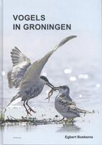 9789052945873 Vogels in Groningen | Tweedehands, Verzenden, Zo goed als nieuw, Egbert Boekema