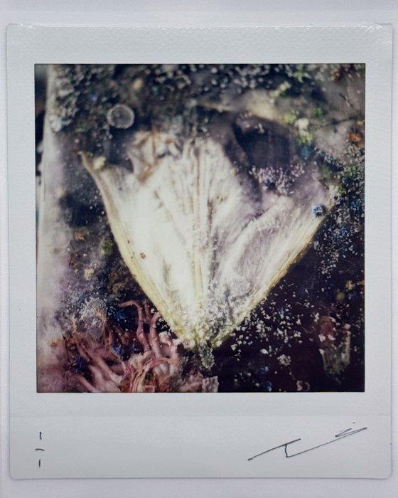 Benjamin Martin - Unique Print – “Lost & Found” Series, Antiek en Kunst, Kunst | Designobjecten