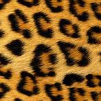 Siser Easy Pattern Flex - 30x100cm, Wild Leopard, Ophalen of Verzenden, Nieuw