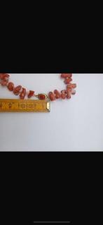 Bloedkoraal Koraal - Corallium rubrum (Zonder Minimumprijs), Nieuw