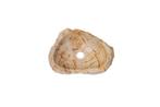Fossiel Waskom 38x27x12 cm | Versteend Hout, Huis en Inrichting, Badkamer | Badkamermeubels, Verzenden, Nieuw, Wastafelkast