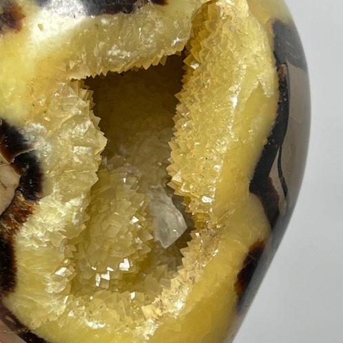 Septaria Wild Yellow Crystals Fine Large Wild Septaria, Verzamelen, Mineralen en Fossielen