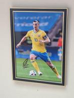 Zlatan Ibrahimovi - Foto, Nieuw