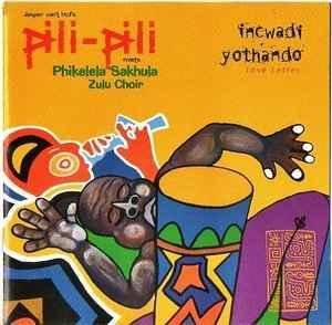 cd - Jasper Vant Hof s Pili-Pili Meets Phikelela Sakhul..., Cd's en Dvd's, Cd's | Jazz en Blues, Zo goed als nieuw, Verzenden