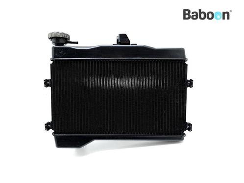 Radiateur Yamaha MT 07 2018-2020 (MT07 MT-07 FZ-07), Motoren, Onderdelen | Yamaha, Gebruikt, Verzenden