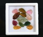 Gems van transparante toermalijn, in bladvorm gesneden - Ct., Verzamelen