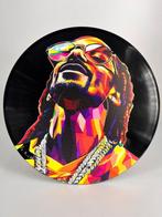 DR HIDE - Vinyl Record Snoop Dogg Smoke