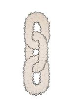 Wendy Andreu - Wandtapijt - 146 cm - 42 cm