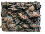 3D aquarium achterwand Os 44-1 (Achterwanden), Dieren en Toebehoren, Vissen | Aquaria en Toebehoren, Ophalen of Verzenden, Nieuw