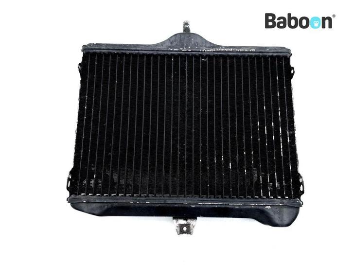 Radiateur Yamaha VMX 1200 V-Max (VMX1200), Motoren, Onderdelen | Yamaha, Gebruikt, Verzenden