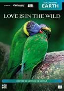 Love is in the wild - DVD, Verzenden, Nieuw in verpakking