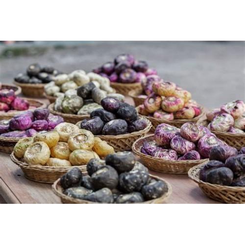 Maca Complex - 4 soorten Maca - 100 Capsules a 650mg, Sport en Fitness, Gezondheidsproducten en Wellness, Poeder of Drank, Nieuw