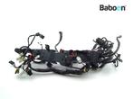 Kabelboom Moto Guzzi V7 850 Stone 2021-> (KZA00) (201200278)
