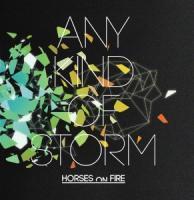 cd - Horses On Fire - Any Kind Of Storm, Cd's en Dvd's, Cd's | Overige Cd's, Zo goed als nieuw, Verzenden