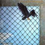 LP gebruikt - Little River Band - The Net, Verzenden, Zo goed als nieuw