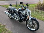 Harley Davidson Motor V-Rod, 2 cilinders, Motorrijbewijs A, Meer dan 35 kW, Naked bike