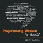 Projectmatig Werken in Beeld 9789080287303, Boeken, Verzenden, Zo goed als nieuw