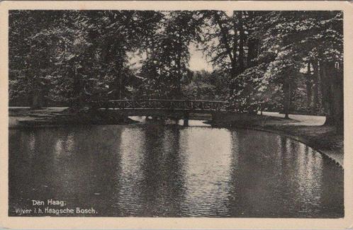DEN HAAG - Vijver i. h. Haagsche Bosch, Verzamelen, Ansichtkaarten | Nederland, Verzenden