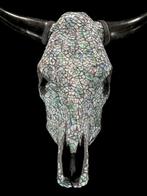 Geen minimumprijs - Prachtige stierenkop met