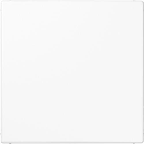 JUNG LS990 Blindplaat Alpine wit LS961BWW, Doe-het-zelf en Verbouw, Elektra en Kabels, Nieuw, Ophalen of Verzenden