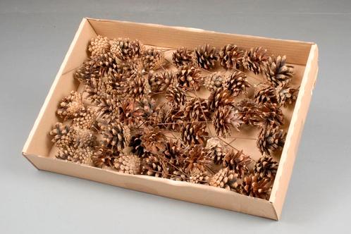Sylvesters / sylvestris dennenappel doos, 100 stuks. op, Hobby en Vrije tijd, Knutselen, Nieuw, Ophalen of Verzenden