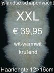 Schapenvacht met KRULLEN XXL schapenhuid schapenvel € 39,95