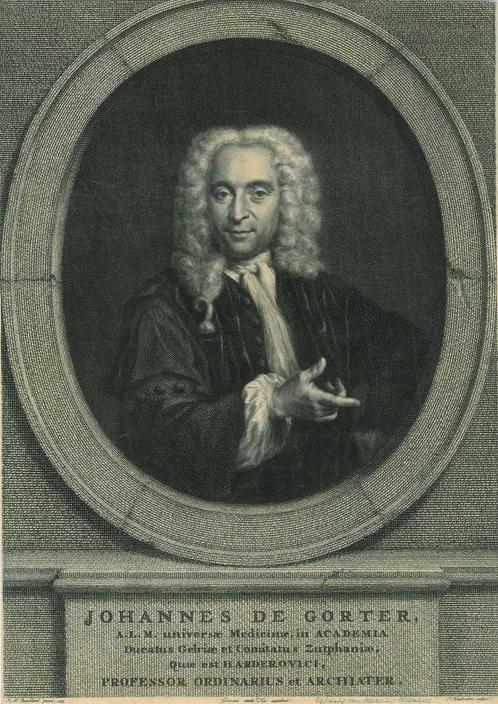 Portrait of Johannes de Gorter, Antiek en Kunst, Kunst | Etsen en Gravures