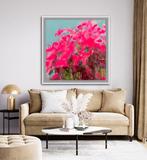 Brooksby - Bougainvillea Burst