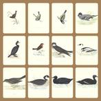 F.O. Morris/Alexander Lydon/Benjamin Fawcett - A History of