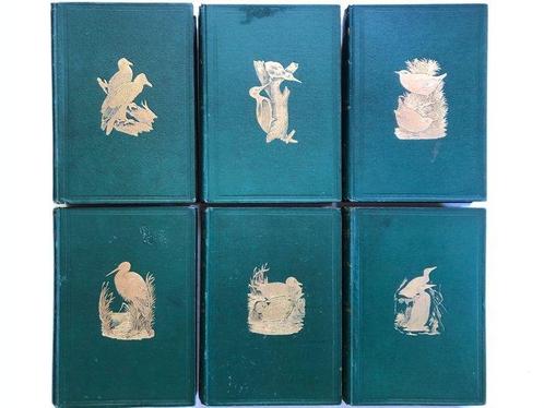 Rev. F.O. Morris, B.A. - A History of British Birds - 1903, Antiek en Kunst, Antiek | Boeken en Bijbels