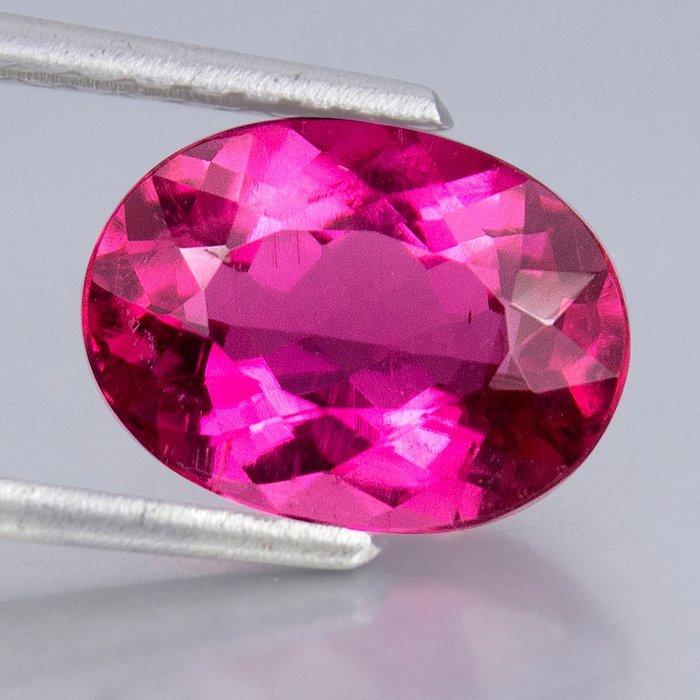 1 pcs Roze Toermalijn - 2.81 ct - nternational Colored, Sieraden, Tassen en Uiterlijk, Edelstenen