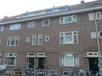 Kamer Geldersedam in Den Bosch, Overige soorten, Noord-Brabant