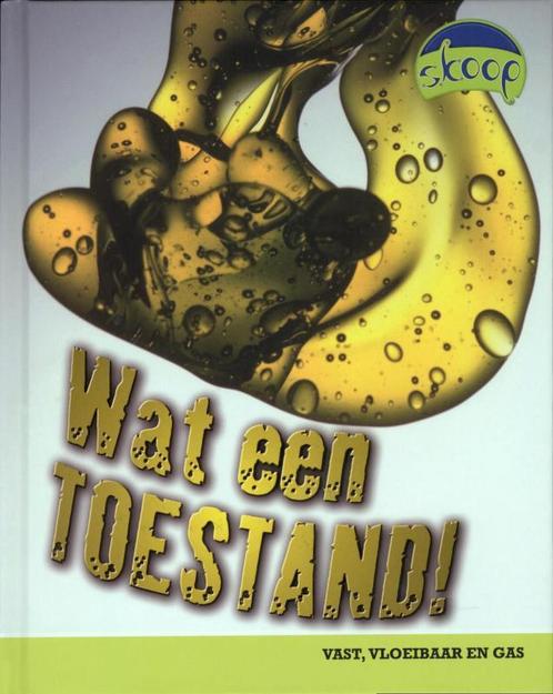 Wat een toestand / Skoop 9789054832980 Buffy Silverman, Boeken, Overige Boeken, Zo goed als nieuw, Verzenden