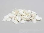 White Chippy naturel, 1 kilo, Hobby en Vrije tijd, Knutselen, Ophalen of Verzenden, Nieuw