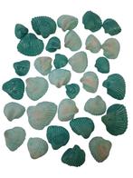 White Chippy Schelpen Groen 500 gram, Ophalen of Verzenden, Nieuw