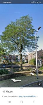 Woningruil - Flavus 64 - 2 kamers en Gelderland, Gelderland