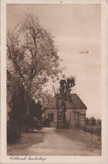 GELDERLAND - Geldersch landschap, Verzamelen, Ansichtkaarten | Nederland, Verzenden