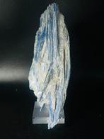 Indrukwekkende blauwe kyanietcluster in kwarts-matrix –, Verzamelen, Mineralen en Fossielen