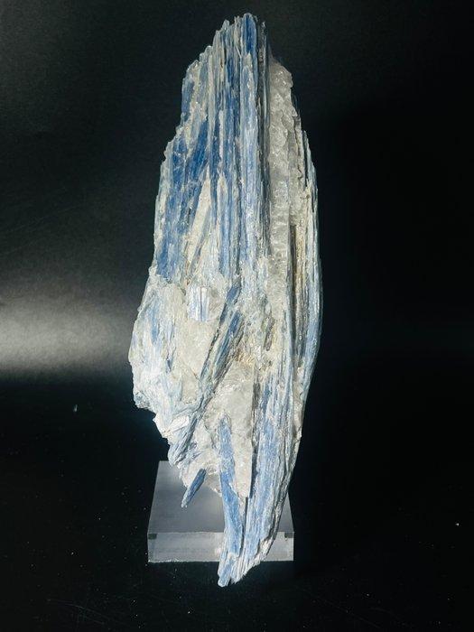 Indrukwekkende blauwe kyanietcluster in kwarts-matrix –, Verzamelen, Mineralen en Fossielen