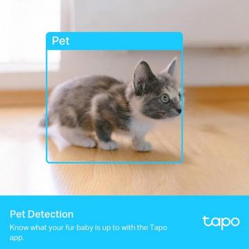 TP-Link Tapo C225 - Beveiligingscamera - Indoor - 2.5K QHD - beschikbaar voor biedingen