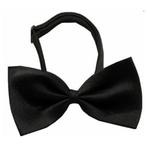 82-delige set Cats Black and White, Dieren en Toebehoren, Verzenden, Nieuw