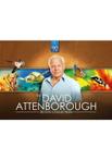 David Attenborough 20 DVD Collection DVD